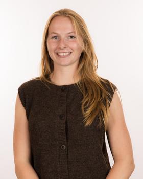 Bijles statistiek, wiskunde of economie met Linde